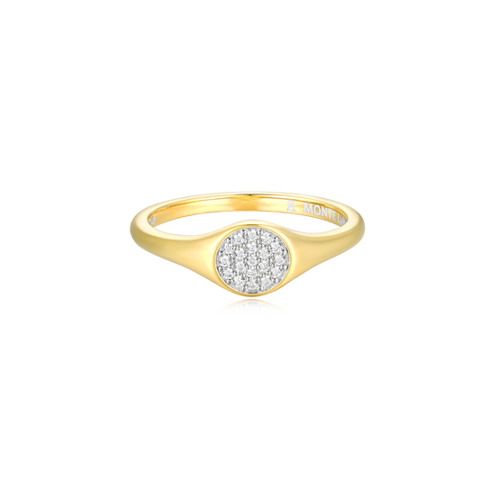 Round Slim Signet Ring in 14k Yellow Gold Plated Sterling Silver